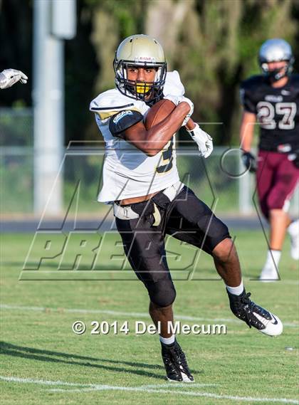 Thumbnail 1 in Mitchell @ Wiregrass Ranch photogallery.