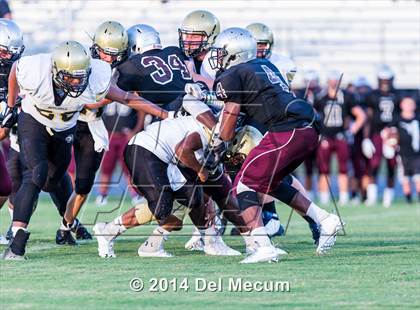 Thumbnail 2 in Mitchell @ Wiregrass Ranch photogallery.