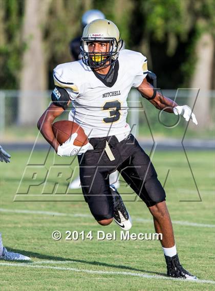 Thumbnail 3 in Mitchell @ Wiregrass Ranch photogallery.