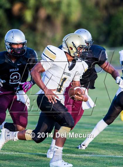 Thumbnail 2 in Mitchell @ Wiregrass Ranch photogallery.