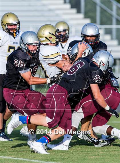 Thumbnail 2 in Mitchell @ Wiregrass Ranch photogallery.