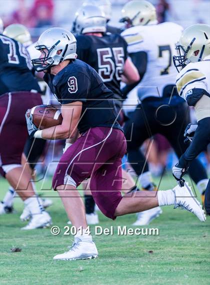 Thumbnail 2 in Mitchell @ Wiregrass Ranch photogallery.