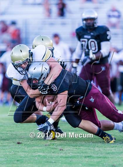 Thumbnail 2 in Mitchell @ Wiregrass Ranch photogallery.