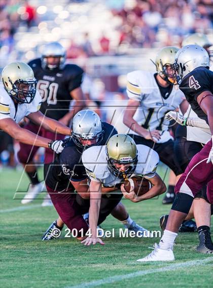 Thumbnail 2 in Mitchell @ Wiregrass Ranch photogallery.