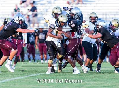 Thumbnail 1 in Mitchell @ Wiregrass Ranch photogallery.