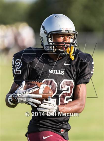 Thumbnail 2 in Mitchell @ Wiregrass Ranch photogallery.