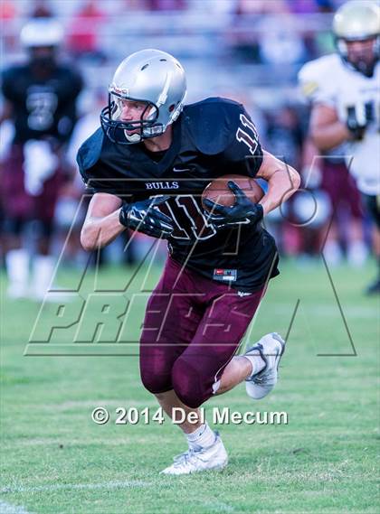 Thumbnail 2 in Mitchell @ Wiregrass Ranch photogallery.
