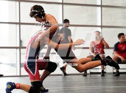 Thumbnail 3 in Cougar Classic photogallery.
