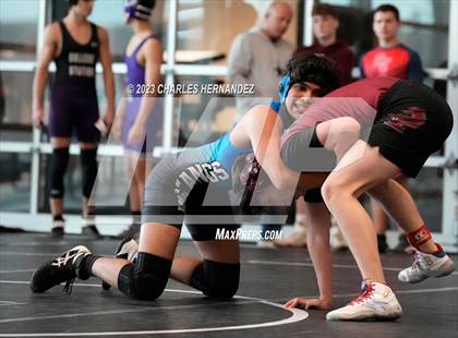 Thumbnail 3 in Cougar Classic photogallery.