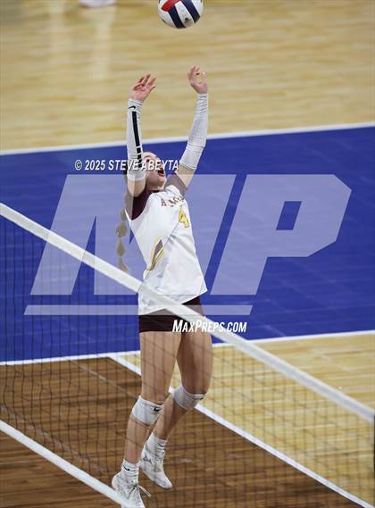 Thumbnail 1 in Alamosa vs. Village (CHSAA 3A Third Round) photogallery.