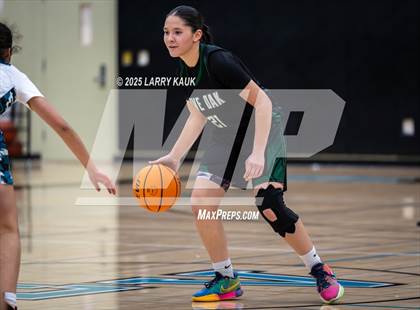 Thumbnail 1 in Live Oak @ Evergreen Valley photogallery.