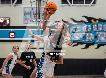 Thumbnail 3 in Live Oak @ Evergreen Valley photogallery.