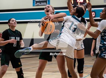 Thumbnail 2 in Live Oak @ Evergreen Valley photogallery.