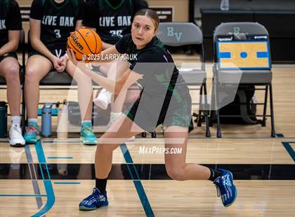 Thumbnail 1 in Live Oak @ Evergreen Valley photogallery.