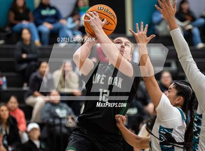 Thumbnail 3 in Live Oak @ Evergreen Valley photogallery.