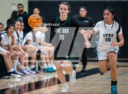 Thumbnail 3 in Live Oak @ Evergreen Valley photogallery.