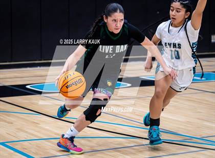 Thumbnail 1 in Live Oak @ Evergreen Valley photogallery.