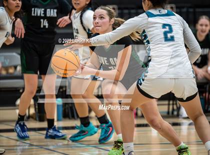 Thumbnail 3 in Live Oak @ Evergreen Valley photogallery.