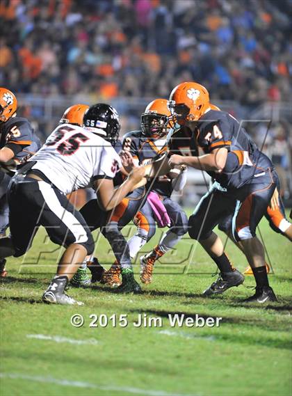 Thumbnail 3 in Pasco @ Zephyrhills photogallery.
