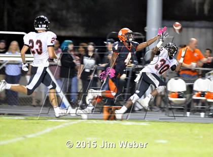 Thumbnail 1 in Pasco @ Zephyrhills photogallery.