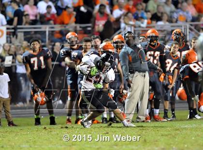 Thumbnail 1 in Pasco @ Zephyrhills photogallery.