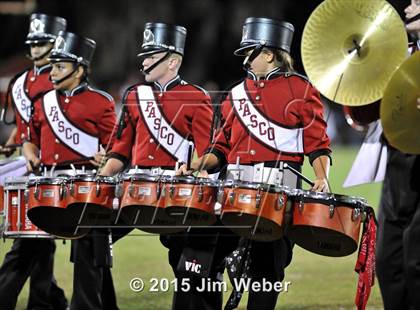 Thumbnail 1 in Pasco @ Zephyrhills photogallery.