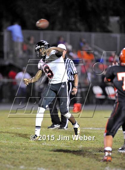 Thumbnail 3 in Pasco @ Zephyrhills photogallery.