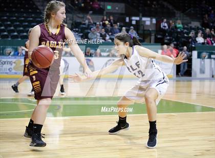 Thumbnail 1 in Bagley vs. Red Lake Falls (Hardwood Showcase) photogallery.