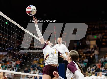 Thumbnail 2 in Alamosa vs. Centauri (CHSAA 3A Round 2) photogallery.