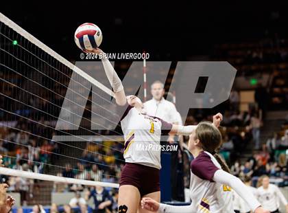 Thumbnail 1 in Alamosa vs. Centauri (CHSAA 3A Round 2) photogallery.