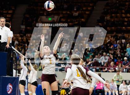 Thumbnail 3 in Alamosa vs. Centauri (CHSAA 3A Round 2) photogallery.