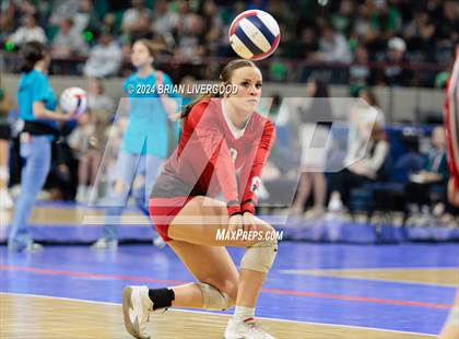 Thumbnail 3 in Alamosa vs. Centauri (CHSAA 3A Round 2) photogallery.