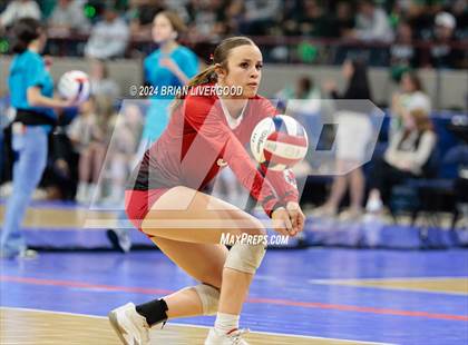 Thumbnail 2 in Alamosa vs. Centauri (CHSAA 3A Round 2) photogallery.