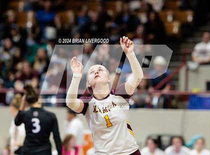 Thumbnail 1 in Alamosa vs. Centauri (CHSAA 3A Round 2) photogallery.