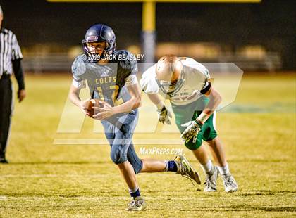 Thumbnail 3 in Casteel @ Campo Verde photogallery.