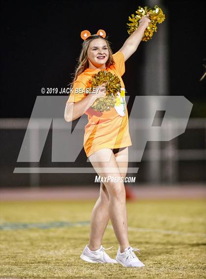 Thumbnail 2 in Casteel @ Campo Verde photogallery.
