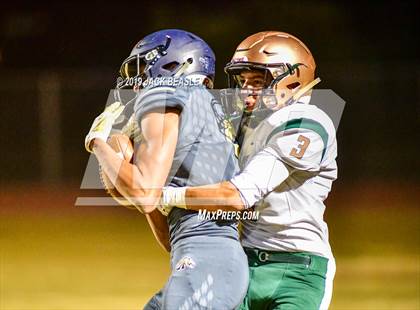 Thumbnail 2 in Casteel @ Campo Verde photogallery.