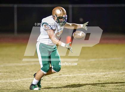Thumbnail 3 in Casteel @ Campo Verde photogallery.