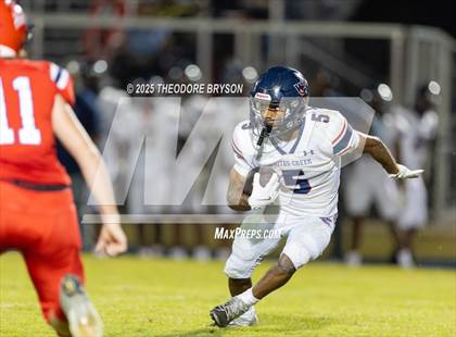 Thumbnail 3 in Whites Creek @ White House-Heritage photogallery.