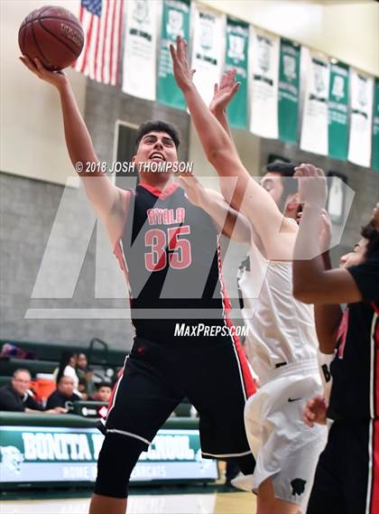 Thumbnail 3 in Ayala vs. Bonita photogallery.