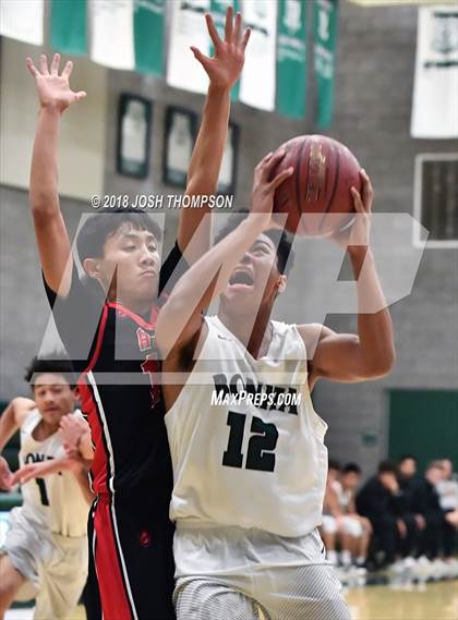 Thumbnail 3 in Ayala vs. Bonita photogallery.