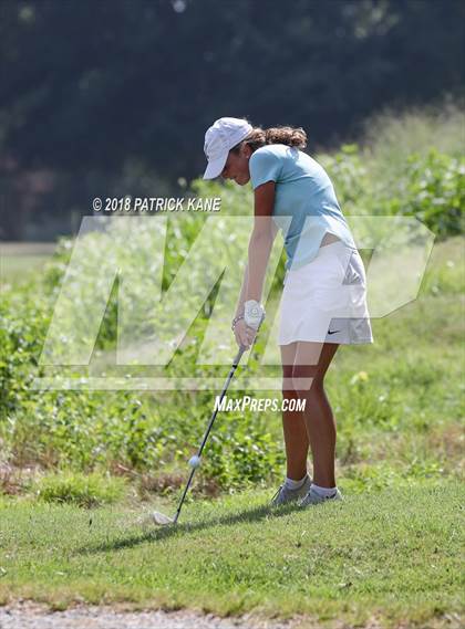Thumbnail 2 in Arlington County Golf Match  photogallery.