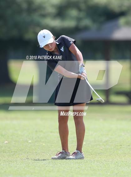 Thumbnail 2 in Arlington County Golf Match  photogallery.