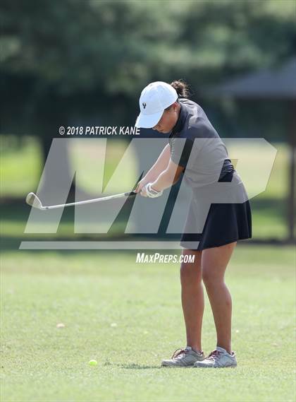 Thumbnail 2 in Arlington County Golf Match  photogallery.