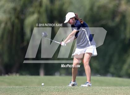 Thumbnail 1 in Arlington County Golf Match  photogallery.