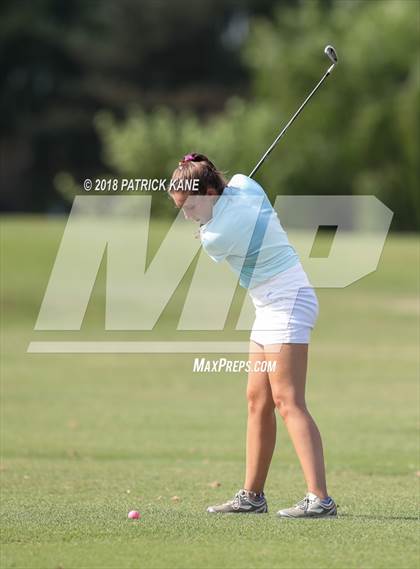 Thumbnail 2 in Arlington County Golf Match  photogallery.