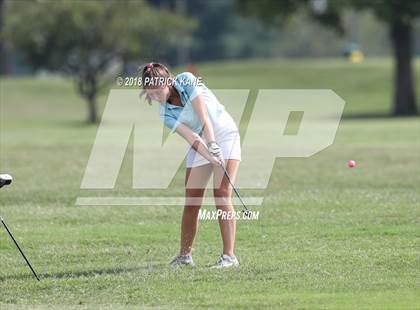 Thumbnail 1 in Arlington County Golf Match  photogallery.