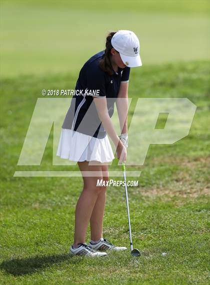Thumbnail 1 in Arlington County Golf Match  photogallery.