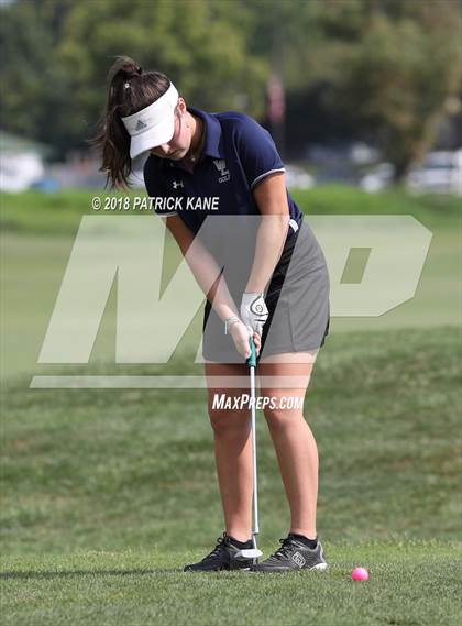 Thumbnail 3 in Arlington County Golf Match  photogallery.