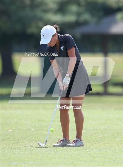 Thumbnail 1 in Arlington County Golf Match  photogallery.
